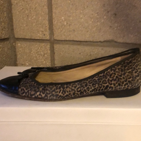 Leopard print and Patent Black toe flats - Picture 4 of 6